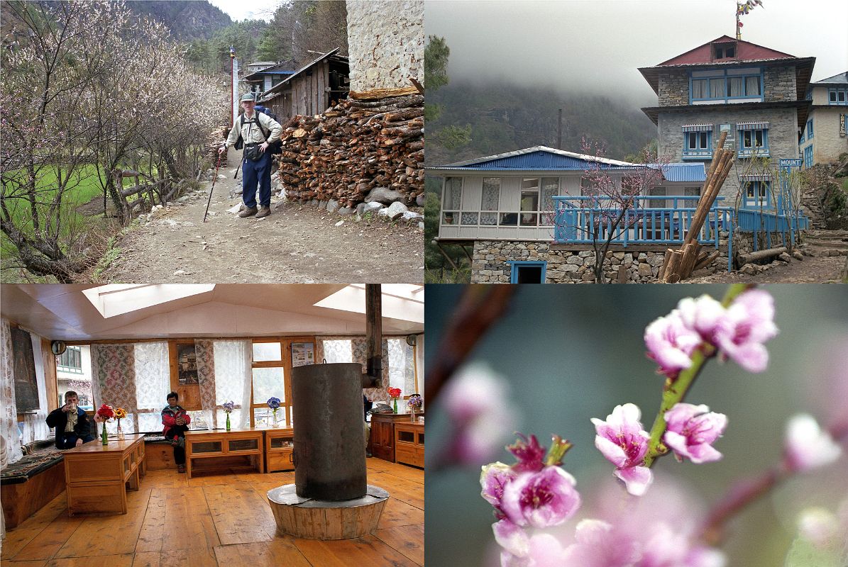 Lukla To Namche Bazaar 17 Jerome Ryan With Cherry Blossoms At Monjo Mount Kailash Lodge In May 2000